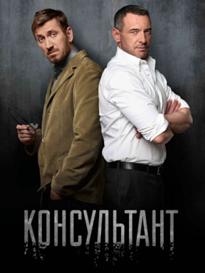 Консультант (2016 - 2019)