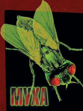 Муха (1986)