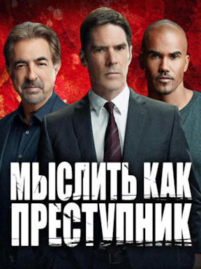 Мыслить как преступник (2005 – 2020)