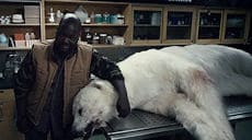 Оттепель (2009) скриншот 1