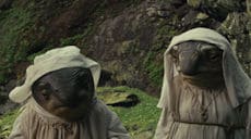 Старые Воры 8: Партизанская Дочка скриншот 3
